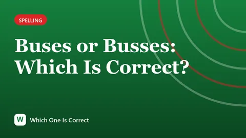Buses or Busses: Which Is Correct?