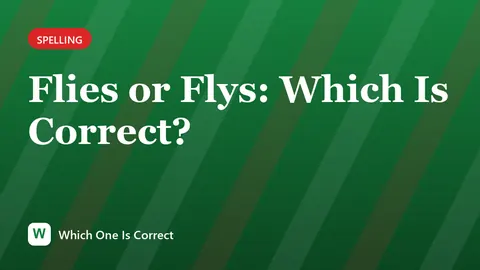 Flies or Flys: Which Is Correct?