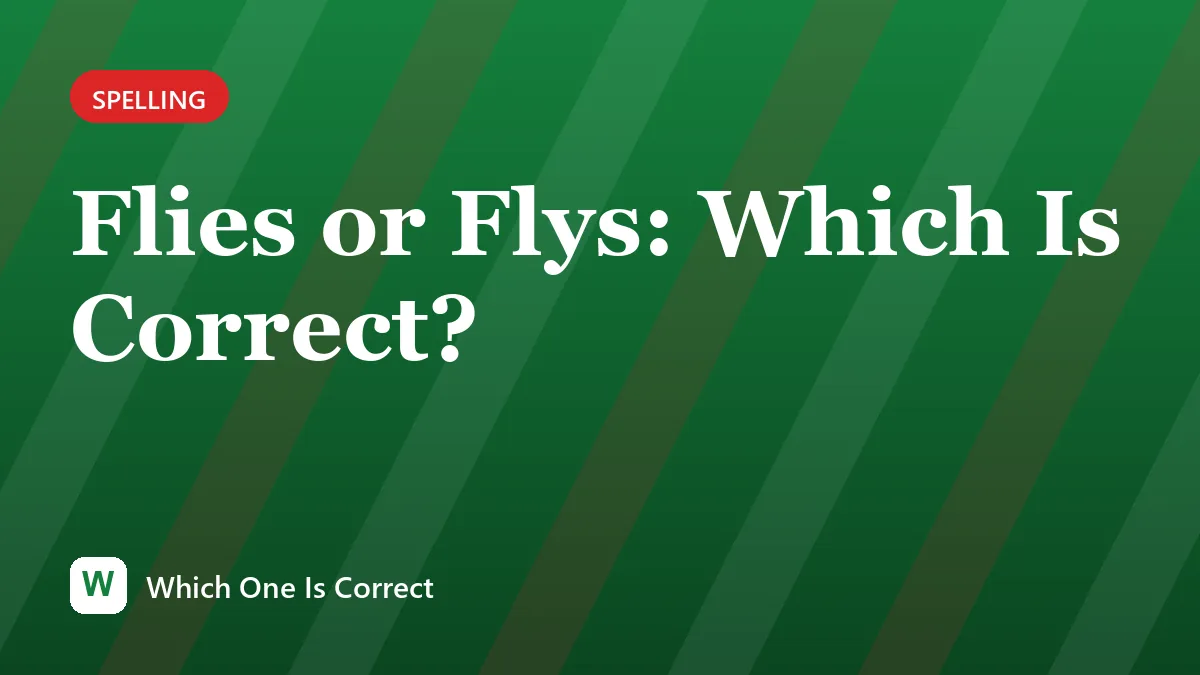 Flies or Flys: Which Is Correct?