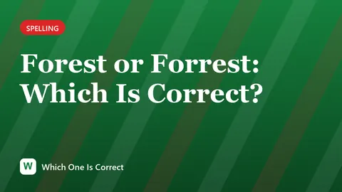 Forest or Forrest: Which Is Correct?