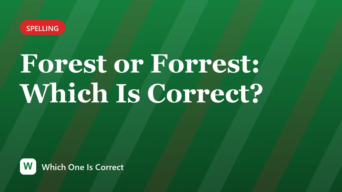 Forest or Forrest: Which Is Correct?