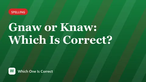 Gnaw or Knaw: Which Is Correct?