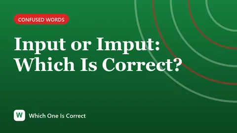 Input or Imput: Which Is Correct?