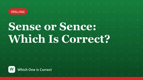 Sense or Sence: Which Is Correct?