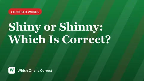 Shiny or Shinny: Which Is Correct?