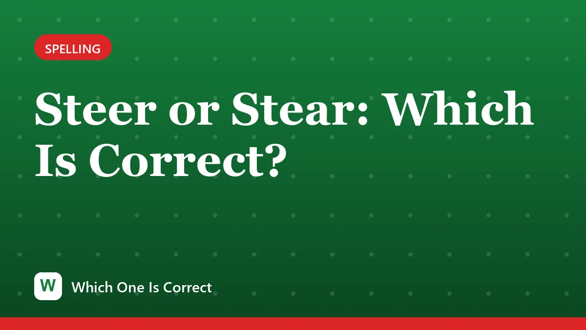 Steer or Stear: Which Is Correct?