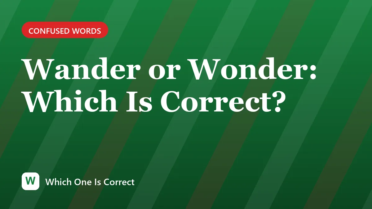 Wander or Wonder: Which Is Correct?
