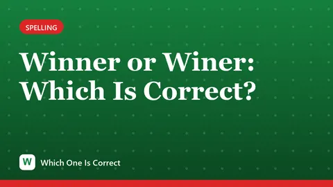 Winner or Winer: Which Is Correct?