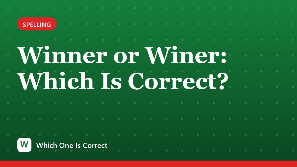 Winner or Winer: Which Is Correct?